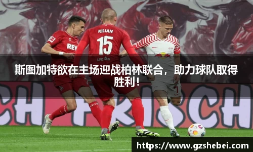 雷火电竞官方网站入口