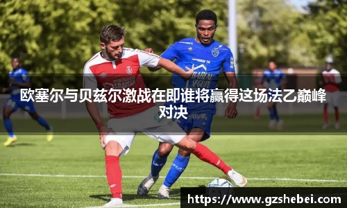 雷火电竞官方网站入口