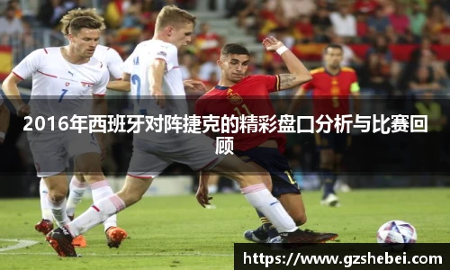 雷火电竞亚洲官网