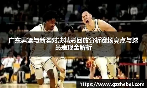 雷火电竞官方网站入口