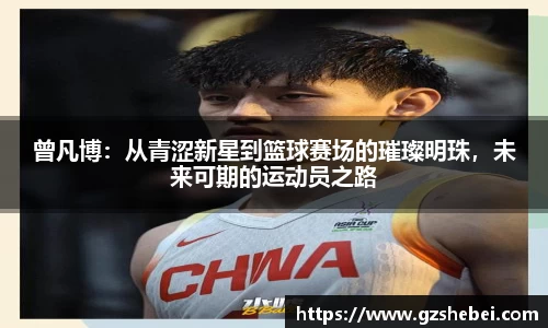 雷火电竞官方网站入口