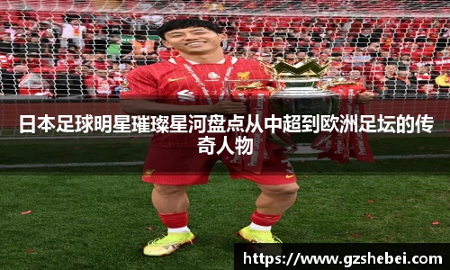 雷火电竞官方网站入口