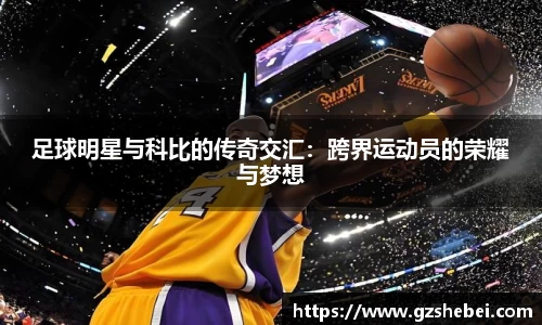 雷火电竞官方网站入口